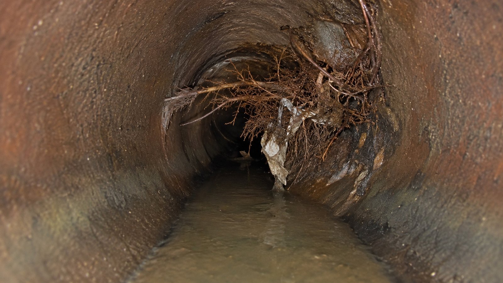 Why Does My Drain Keep Blocking? — UK drainage example